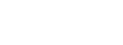 PANDOVISIA
NEWS